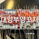대양부양꼬치 - 춘천시 백령로 217-20 | 대양부양꼬치