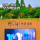 유엔평화로 | 부산박물관 주차장 정보와 부산 갑옷 실내 전시 추천 후기