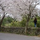 신풍리-3 이미지