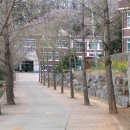 보령중학교