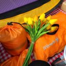 문창초등학교 앞 이미지