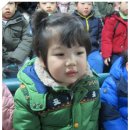 속임수에 걸린 꾀보토끼 이미지