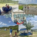 대구곤충마트 | 대구 근교 캠프닉 당일치기 성주 솔가람피크닉 11번 이용
