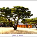 세종대왕역사문화관 이미지