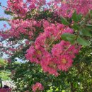 소수보건지소 이미지