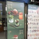 젤라떼 | 우지(OOZY) 커피_딥 말차 젤라떼! 솔직 후기(내돈내산)