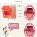 J2088 네이버블로그