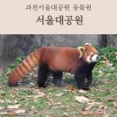 과천서울대공원 동물원 후기(주말 오픈런,주차,식당)