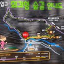 성주사 회귀형 숲길 이미지