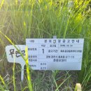금강분묘이장공사 | 울산 무연고묘지이장 개장 화장 고인을 예우하며 진행한 작업 후기