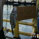 낚고락고 | 진짜 초보도 가능한 제주낚시터 `낚고락고' (+솔직한 후기)