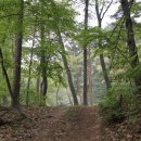 중말쉼터 이미지