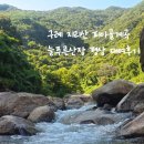 전남 구례 지리산 피아골계곡 늘푸른산장 평상 대여 후기