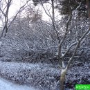재능교육천안연수원 이미지