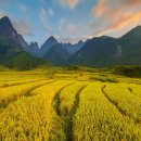 봉천한의원 이미지