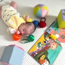 카페 태도 | 프뢰벨 영아다중 당근 후기｜“새상품급이라더니…” 판매자 태도 바뀜 (+단품 구매 현실, 중고 체크...