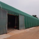 덕기농장 이미지