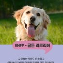 재미로2 이미지