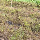 요선마을 이미지