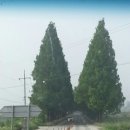 짱서방 - 달성군 화원로 37 | 짱서방
