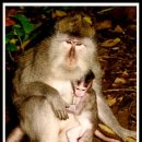 어울림국제결혼 이미지