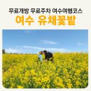 여수박람회장 스카이타워 입구 도로 | 여수 유채꽃밭 무료개방 여수세계박람회장 스카이타워 앞 유채꽃단지 무료주차장 꿀팁
