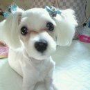 남구미로-7 이미지