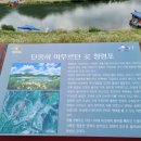 아름다운 차 생활 | 영월 청령포 다녀온 후기, 조선의 슬픈 역사를 품은 아름다운 여행지