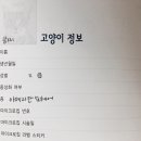 콩찌