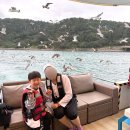 CU 울산신선파크점 | 울산 동구 일산해수욕장 요트탈래울산 &lt;숨비따라 요트투어&gt; 아이와 함께한 솔직 후기