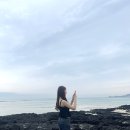 [연캉스9] 제주도 서쪽 2박 3일 여행 코스 추천, 인스타 사진 명소 추천