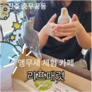 리프패럿진주점 | 진주 충무공동 리프패럿 앵무새 체험 카페 내돈내산