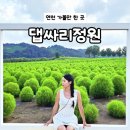 전곡리 선사유적지 탐방안내소 | [연천] 서울 근교 가볼만한 곳 임진강 댑싸리정원 가을 꽃축제 정보