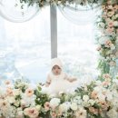 떡마실 - 양산시 덕계로 49-1 | 경기·인천 돌잔치·백일 촬영 따끈한 새 소식 모음 | 망고스튜디오·로이스타일·리앙스냅