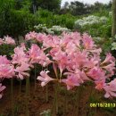 설국농장 이미지