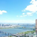 우리집롯데캐슬공인중개사사무소 이미지