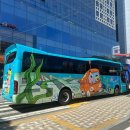월드버스투어 | [부산]여름한정 스폰지밥 부산 시티버스투어 탑승후기 명당자리