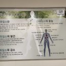 (주)쎄이엠 네이버블로그