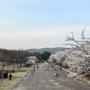 인천대공원(다목적광장) 이미지