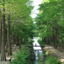 산림환경연구원 네이버블로그