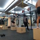 필라핏 156 이미지