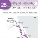 코리아둘레길 트래킹: 해파랑길 14구간(죽변항~호산버스터미널)..2022-10-2 이미지