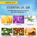 메디아토 이미지