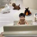 조이풀(joypool)