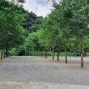 금산 자연 오토캠핑장 티스토리