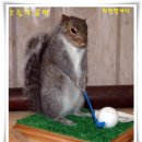 희망별자리 이미지