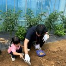 BHC 조양점 | 놀러 다니느라 바빴던 7월