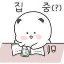 나우소잉