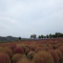 다이소 망월사역점 이미지