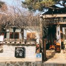 차마시는 뜰 이미지